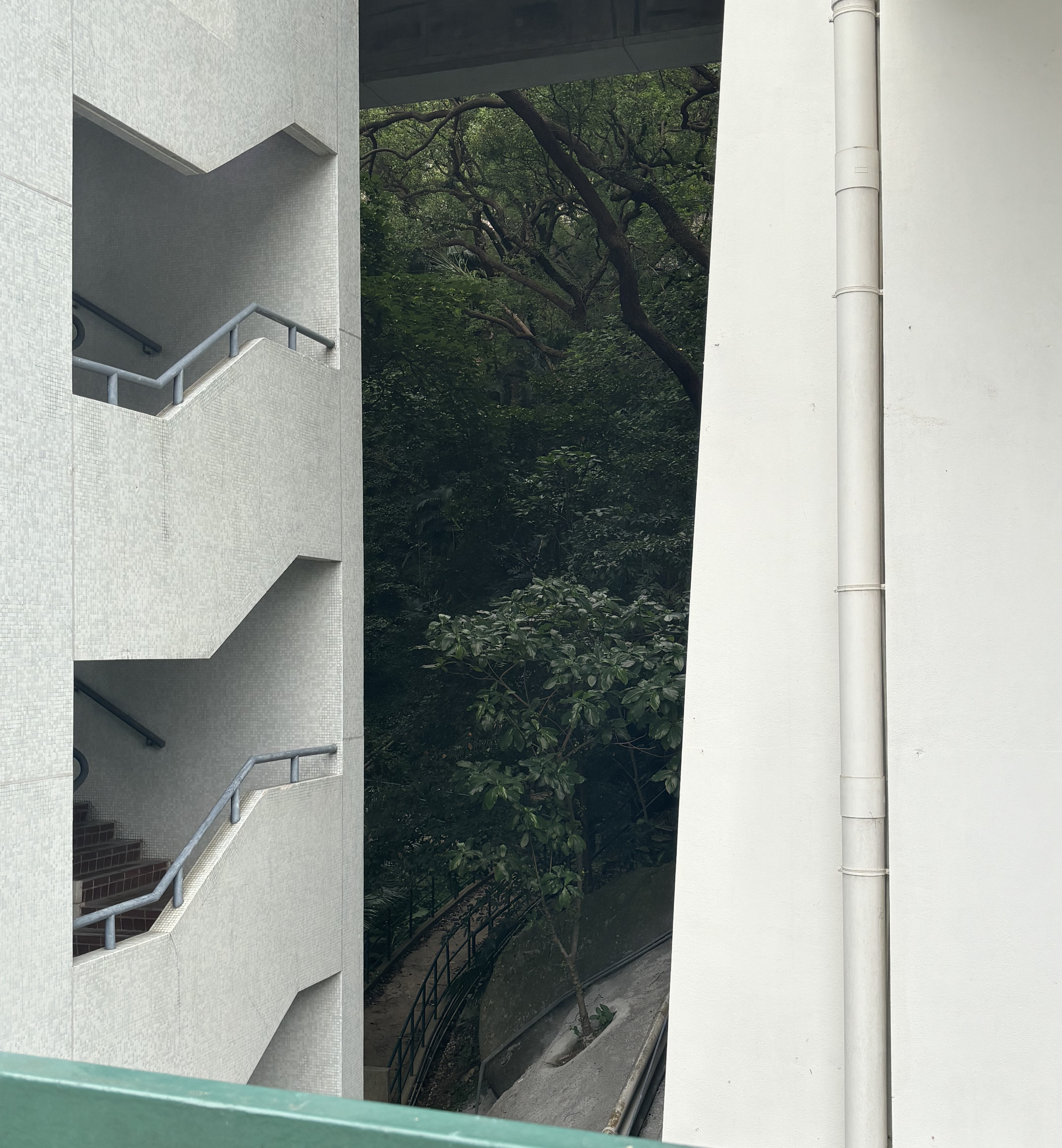 楼间有洞天